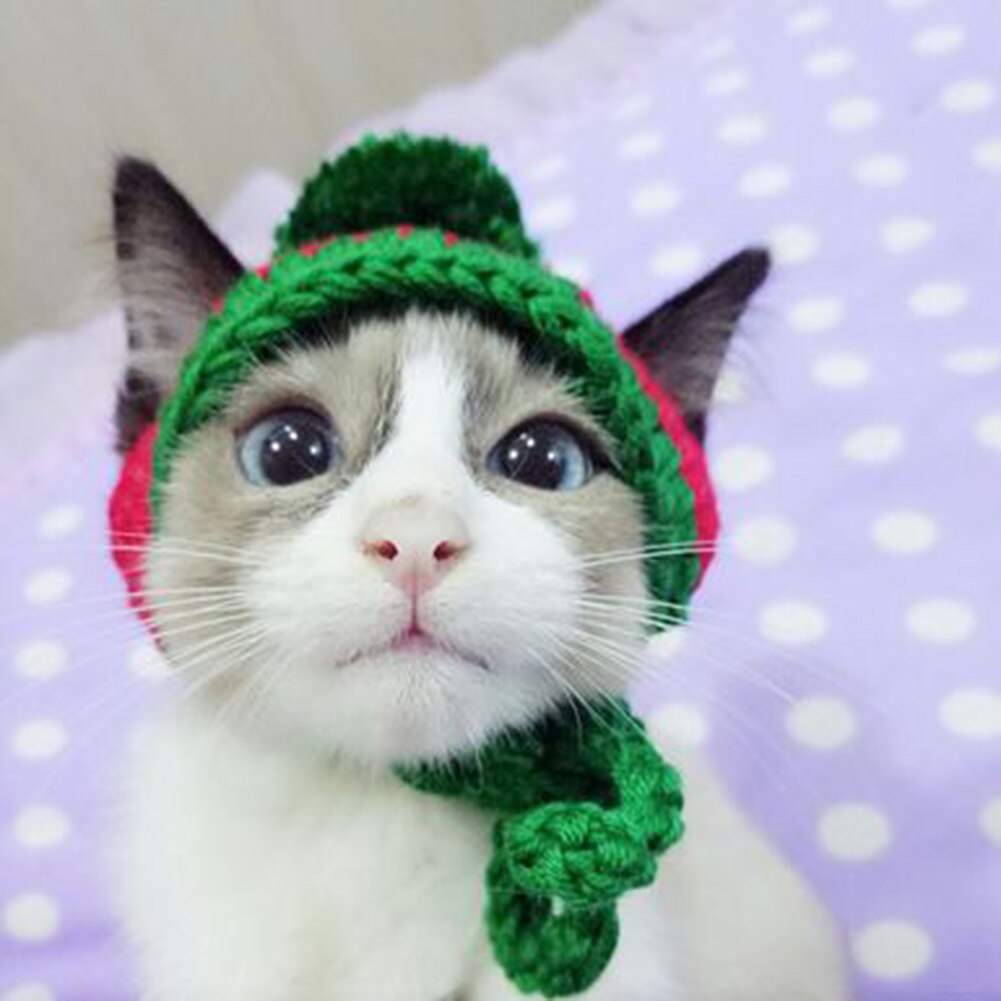 Cat Dog cappello lavorato a maglia cucciolo animale cappello di natale cappello lavorato a maglia di natale con palline cappello da cucciolo Halloween Cosplay cane gatto Supplie Cap fascia